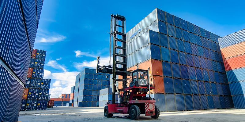 Xuất khẩu khoai lang sang Trung Quốc hiện nay là một xu hướng kinh doanh phổ biến.